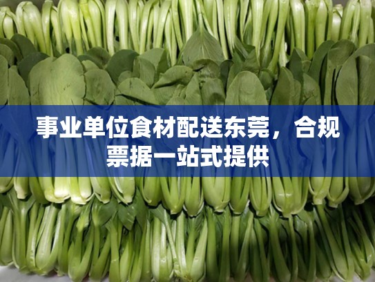 事业单位食材配送东莞，合规票据一站式提供