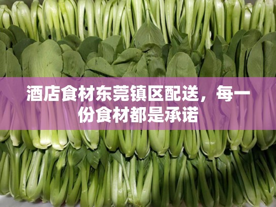 酒店食材东莞镇区配送，每一份食材都是承诺