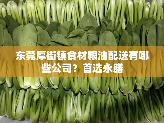 东莞厚街镇食材粮油配送有哪些公司？首选永膳