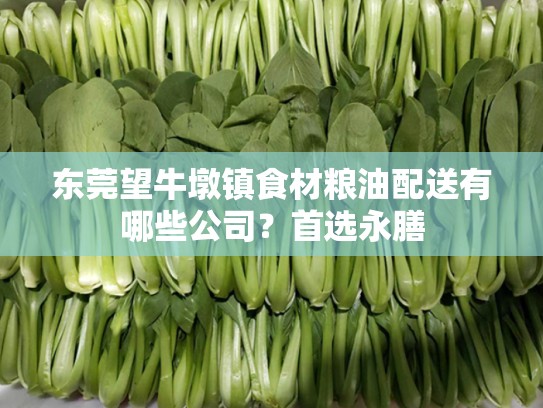 东莞望牛墩镇食材粮油配送有哪些公司？首选永膳