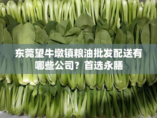 东莞望牛墩镇粮油批发配送有哪些公司？首选永膳