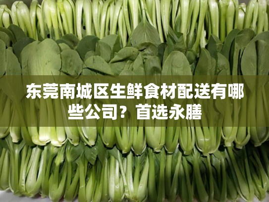 东莞南城区生鲜食材配送有哪些公司？首选永膳
