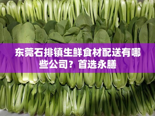 东莞石排镇生鲜食材配送有哪些公司？首选永膳