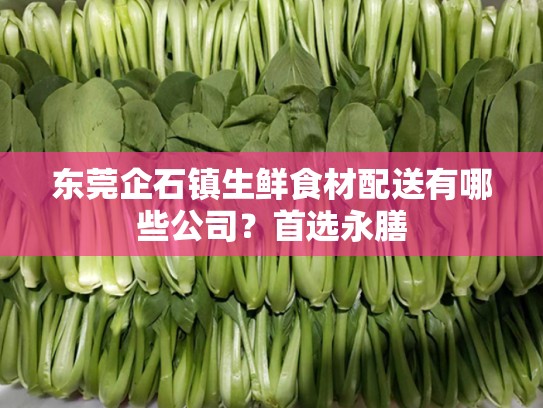 东莞企石镇生鲜食材配送有哪些公司？首选永膳