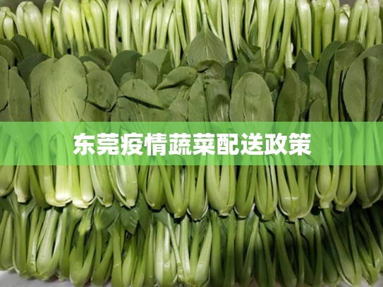 东莞疫情蔬菜配送政策