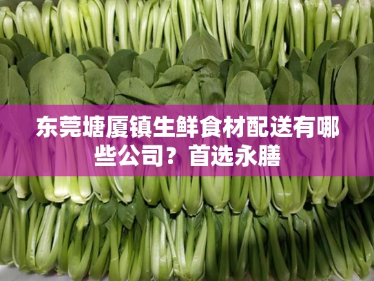 东莞塘厦镇生鲜食材配送有哪些公司？首选永膳