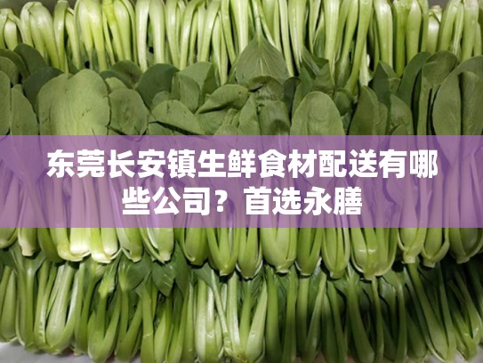 东莞长安镇生鲜食材配送有哪些公司？首选永膳
