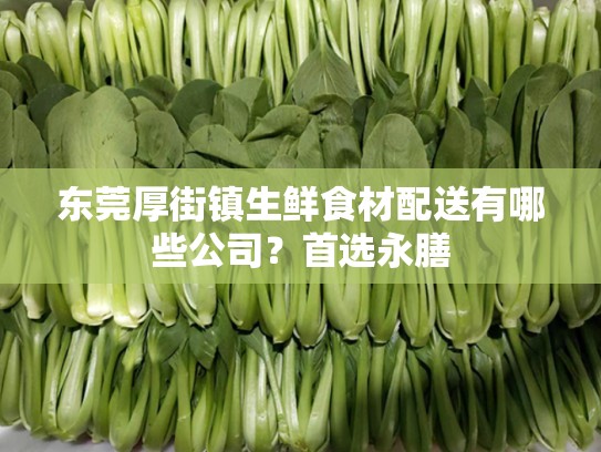 东莞厚街镇生鲜食材配送有哪些公司？首选永膳