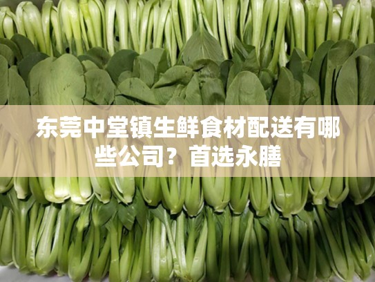 东莞中堂镇生鲜食材配送有哪些公司？首选永膳