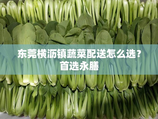 东莞横沥镇蔬菜配送怎么选？首选永膳