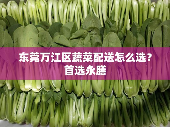 东莞万江区蔬菜配送怎么选？首选永膳