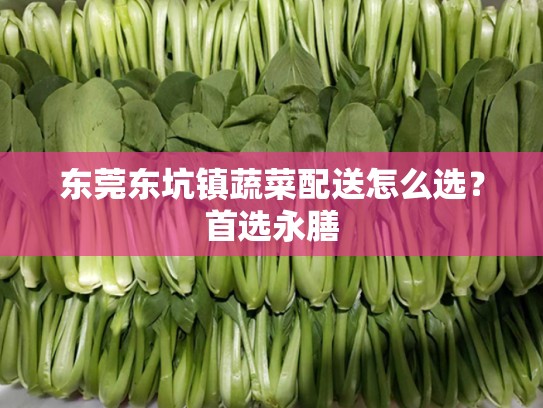 东莞东坑镇蔬菜配送怎么选？首选永膳