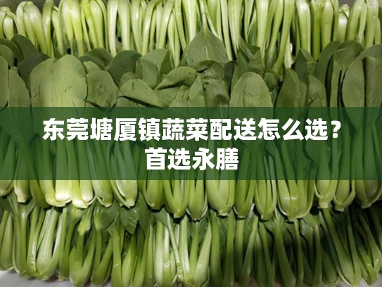 东莞塘厦镇蔬菜配送怎么选？首选永膳