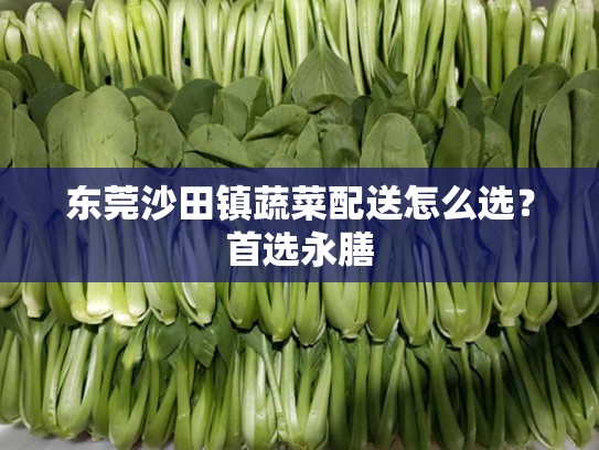 东莞沙田镇蔬菜配送怎么选？首选永膳