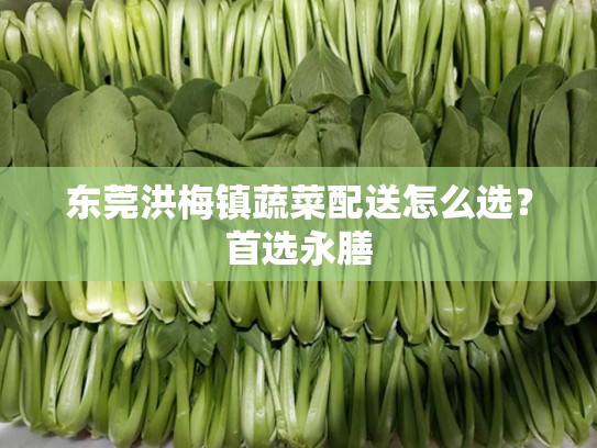东莞洪梅镇蔬菜配送怎么选？首选永膳