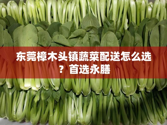 东莞樟木头镇蔬菜配送怎么选？首选永膳