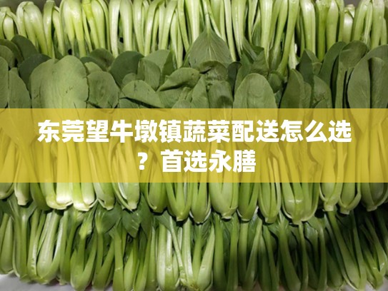 东莞望牛墩镇蔬菜配送怎么选？首选永膳