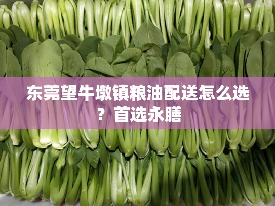 东莞望牛墩镇粮油配送怎么选？首选永膳