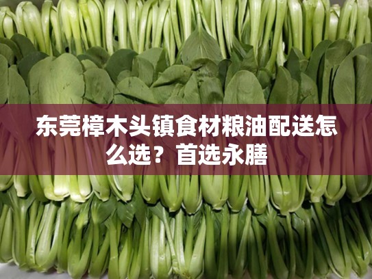 东莞樟木头镇食材粮油配送怎么选？首选永膳