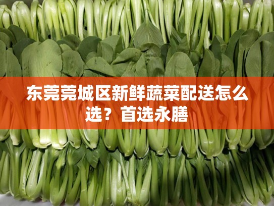 东莞莞城区新鲜蔬菜配送怎么选？首选永膳