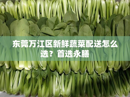 东莞万江区新鲜蔬菜配送怎么选？首选永膳