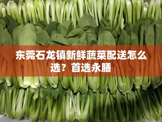 东莞石龙镇新鲜蔬菜配送怎么选？首选永膳