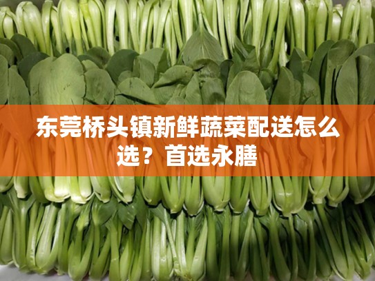 东莞桥头镇新鲜蔬菜配送怎么选？首选永膳