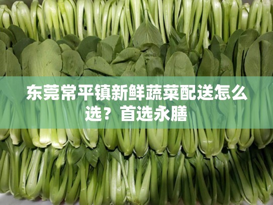 东莞常平镇新鲜蔬菜配送怎么选？首选永膳