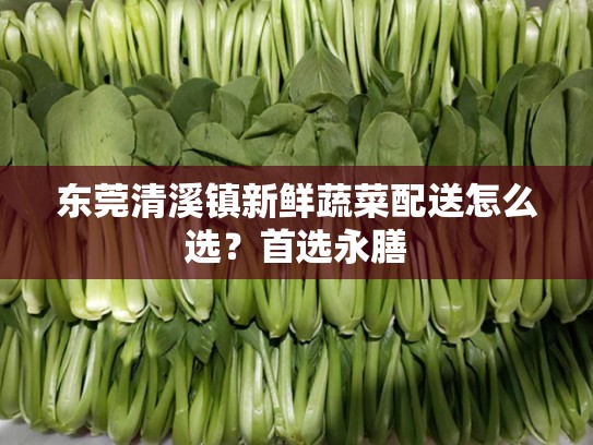 东莞清溪镇新鲜蔬菜配送怎么选？首选永膳