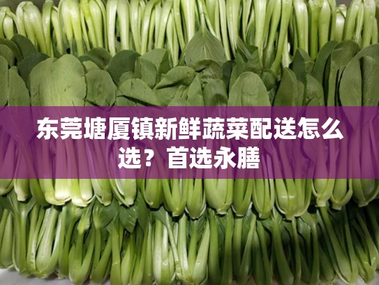 东莞塘厦镇新鲜蔬菜配送怎么选？首选永膳