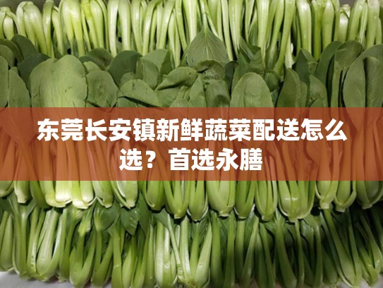 东莞长安镇新鲜蔬菜配送怎么选？首选永膳
