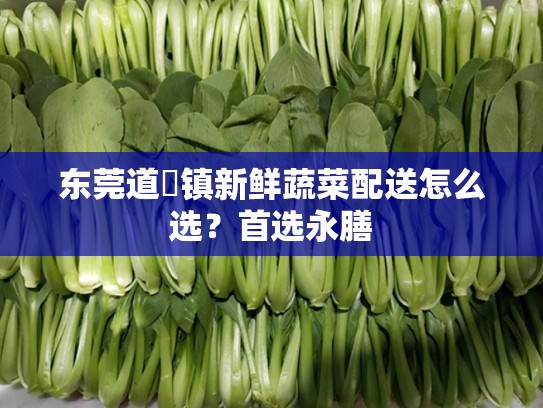 东莞道滘镇新鲜蔬菜配送怎么选？首选永膳