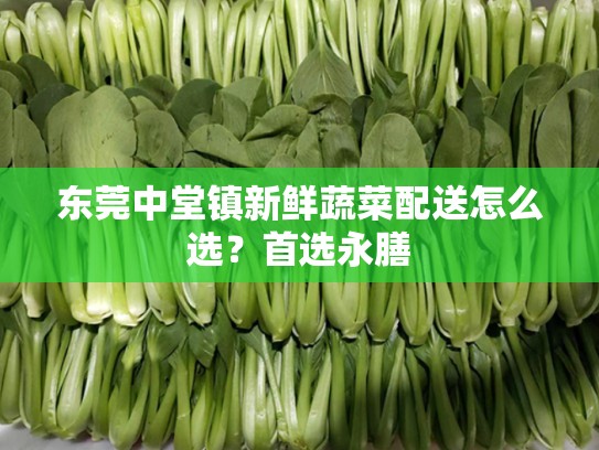 东莞中堂镇新鲜蔬菜配送怎么选？首选永膳