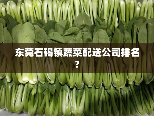 东莞石碣镇蔬菜配送公司排名?
