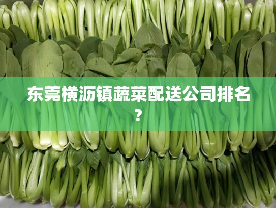 东莞横沥镇蔬菜配送公司排名?