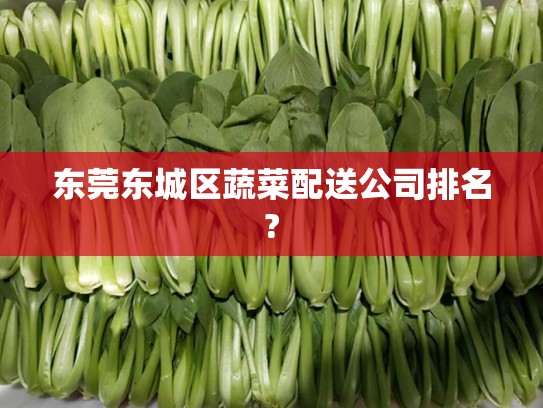 东莞东城区蔬菜配送公司排名?