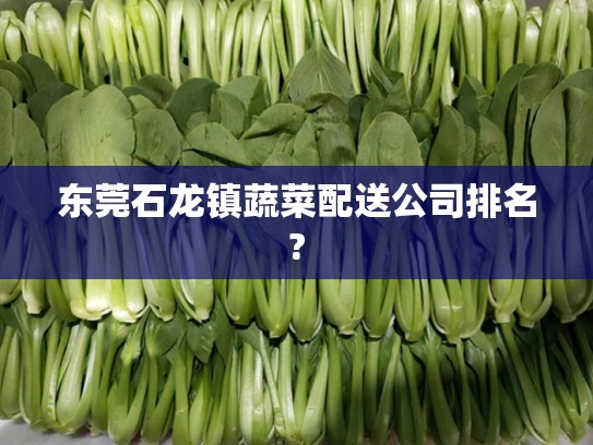 东莞石龙镇蔬菜配送公司排名?