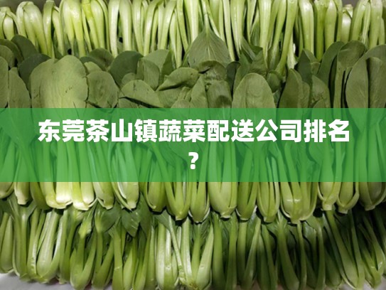 东莞茶山镇蔬菜配送公司排名?
