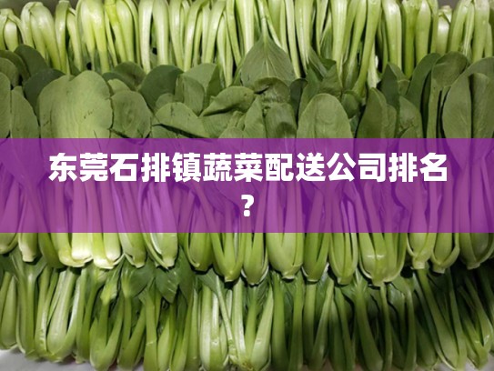 东莞石排镇蔬菜配送公司排名?