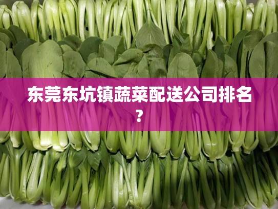 东莞东坑镇蔬菜配送公司排名?