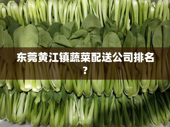 东莞黄江镇蔬菜配送公司排名?
