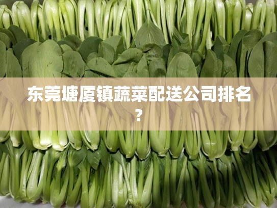 东莞塘厦镇蔬菜配送公司排名?