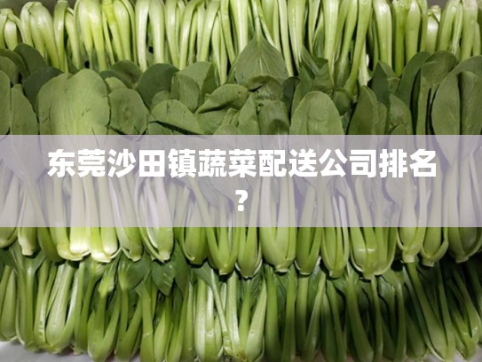 东莞沙田镇蔬菜配送公司排名?