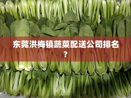 东莞洪梅镇蔬菜配送公司排名?