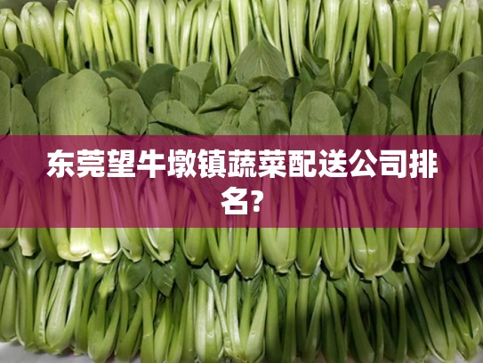 东莞望牛墩镇蔬菜配送公司排名?