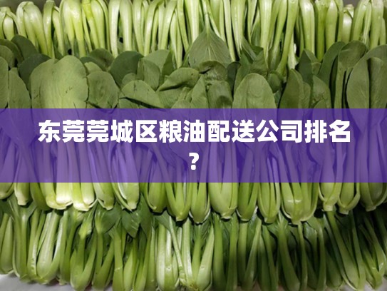 东莞莞城区粮油配送公司排名?