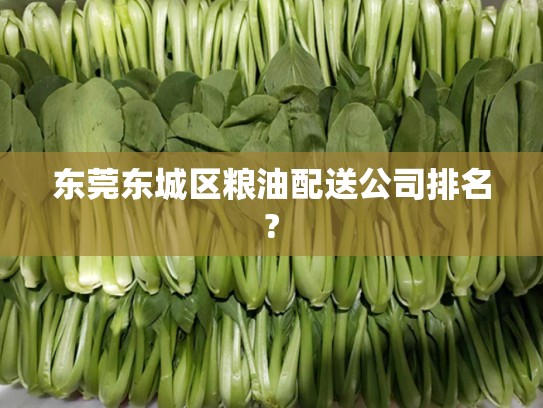 东莞东城区粮油配送公司排名?