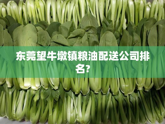 东莞望牛墩镇粮油配送公司排名?