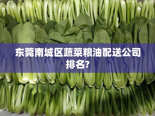 东莞南城区蔬菜粮油配送公司排名?