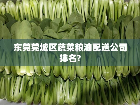 东莞莞城区蔬菜粮油配送公司排名?